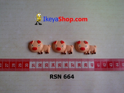 rsn 664  large2